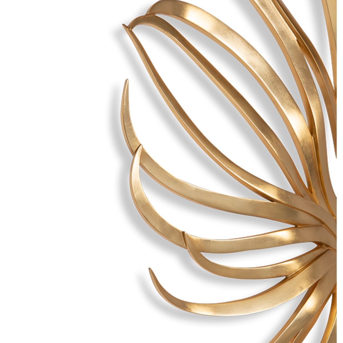 Christopher Guy | Eclat d'Etoile