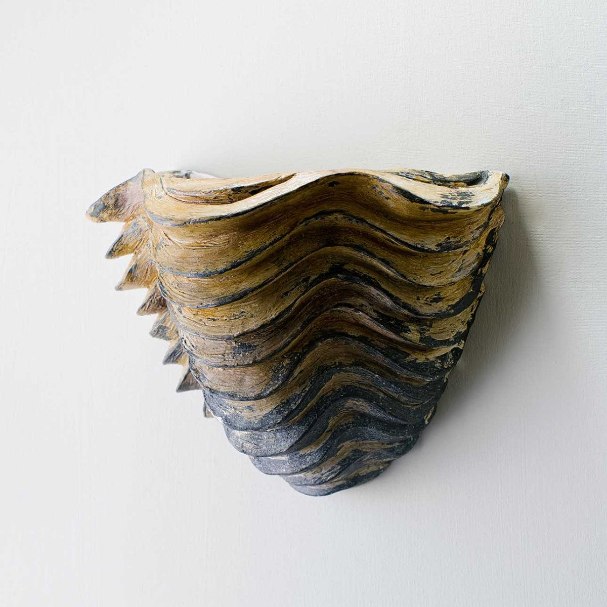 Porta Romana | Clam Shell Wall Light Small