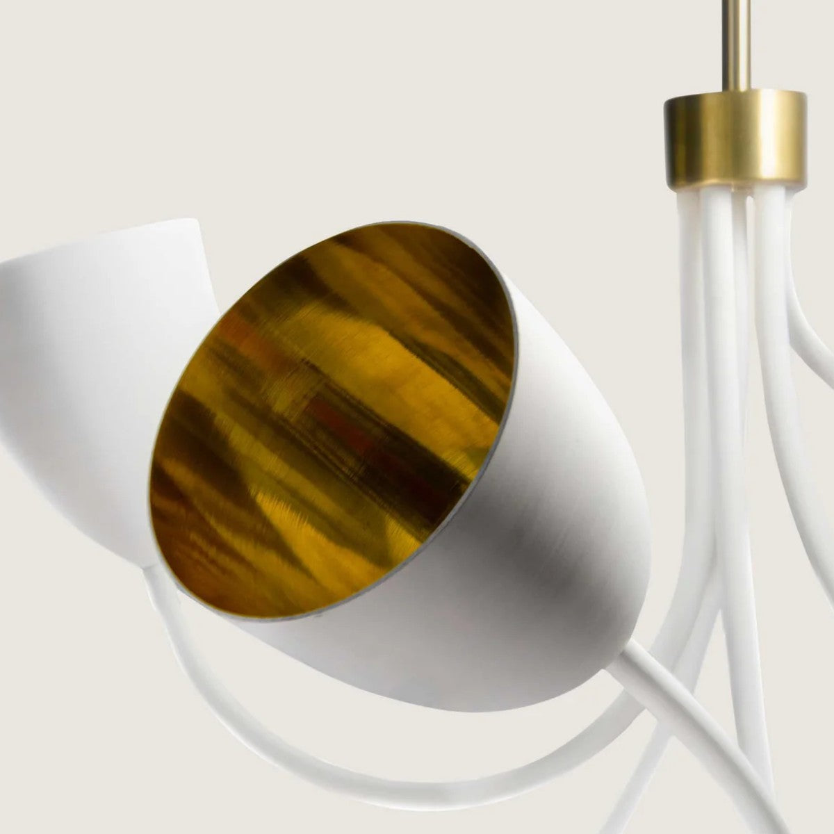 Porta Romana | Tulip Ceiling Light