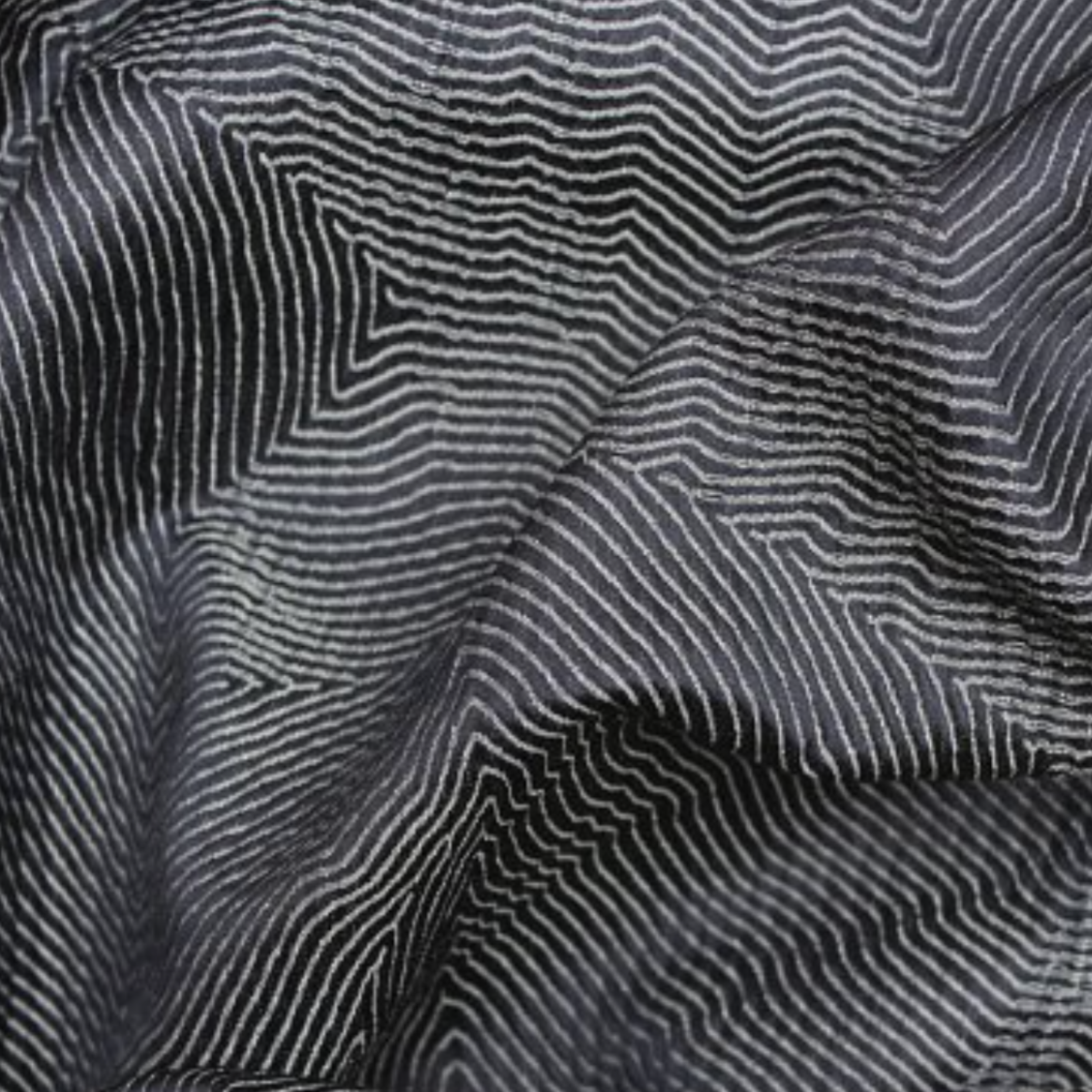 Chase Erwin | Mazarin Midnight