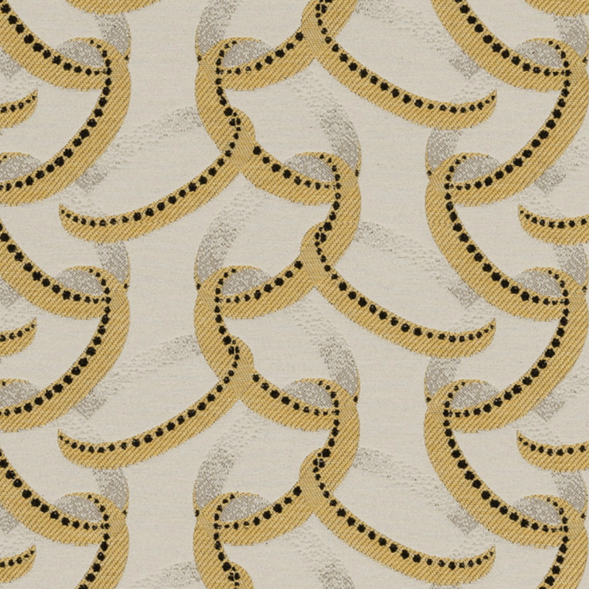 Nobilis | Paloma