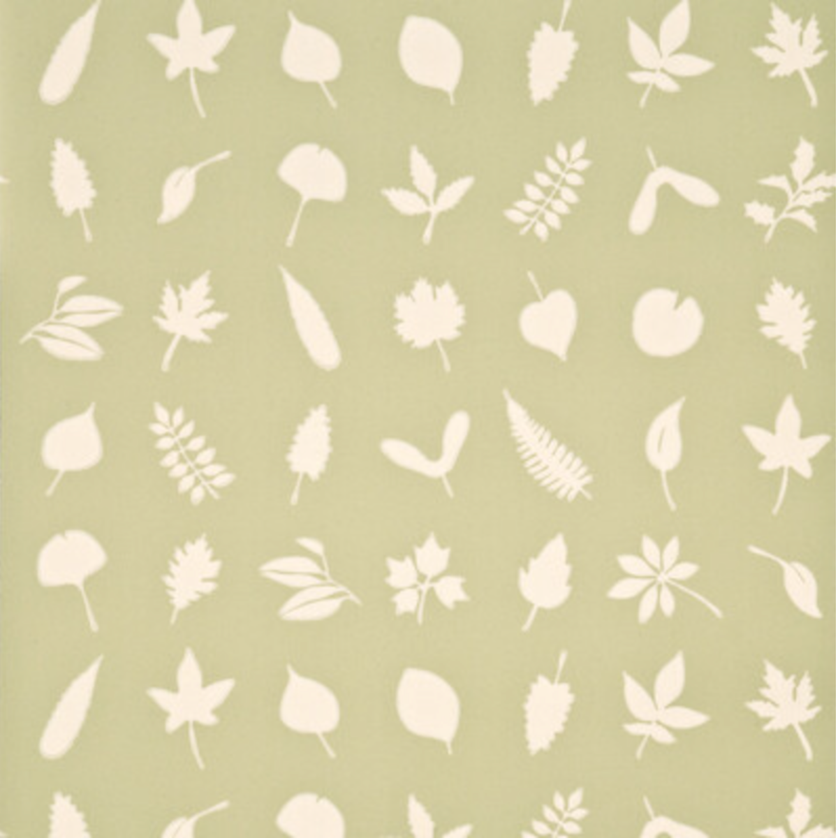 Baker Lifestyle | Tumbling Leaves