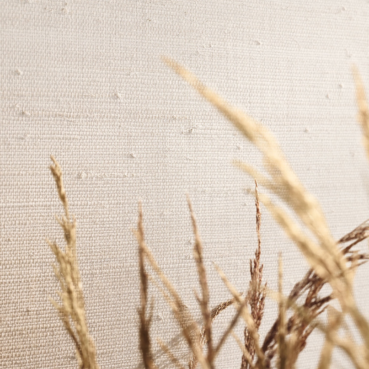 Mark Alexander | Burlap