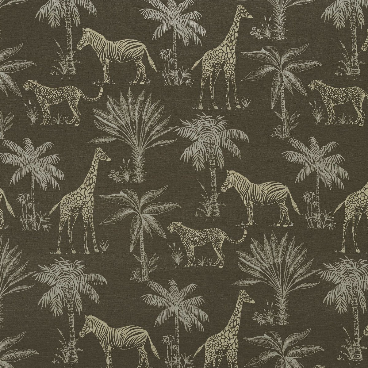 Ashley Wilde | Safari