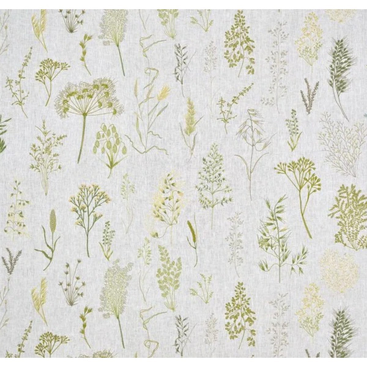 Pierre Frey | Les Graminees Broderie Prairie