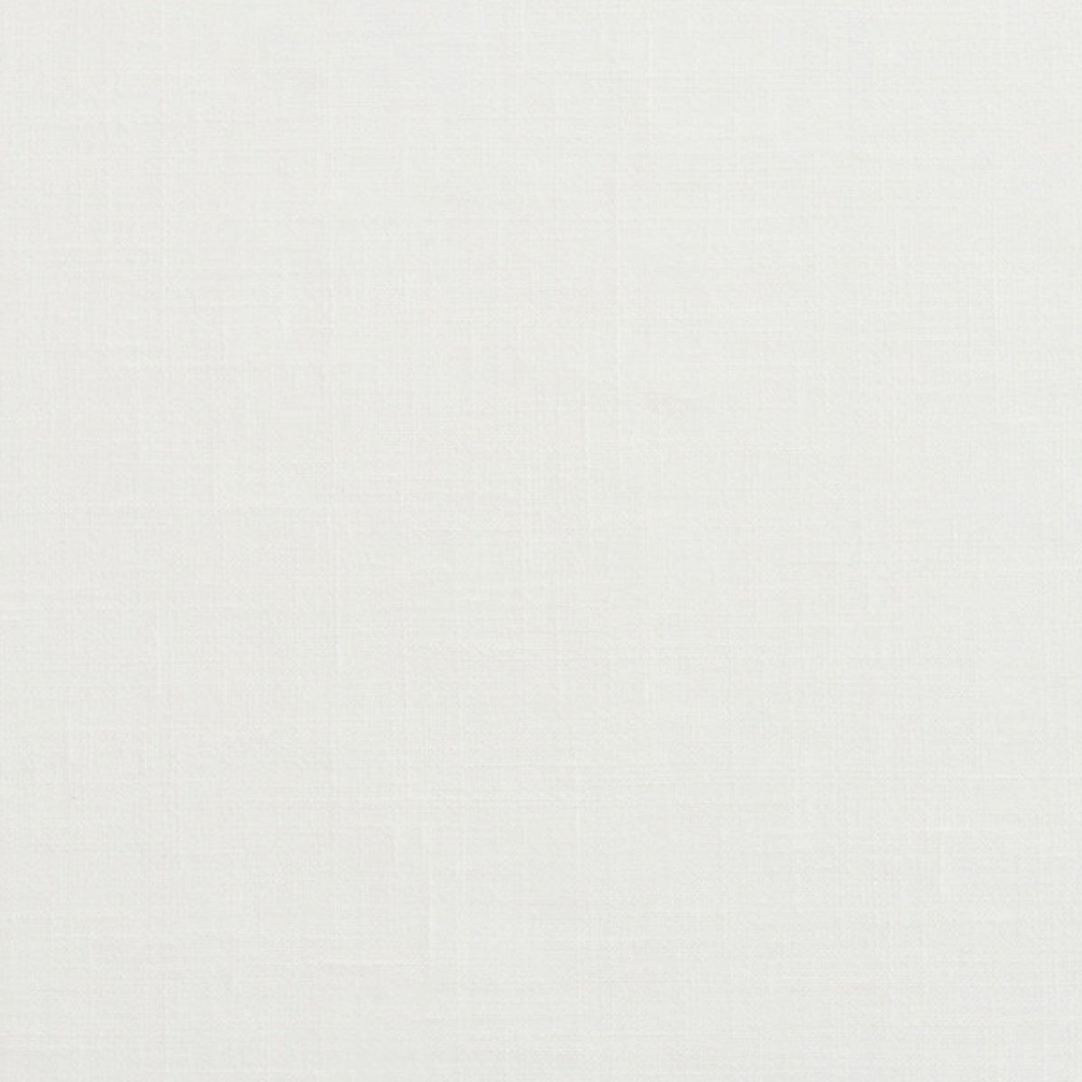 DEDAR | Wide Wool Dandelion