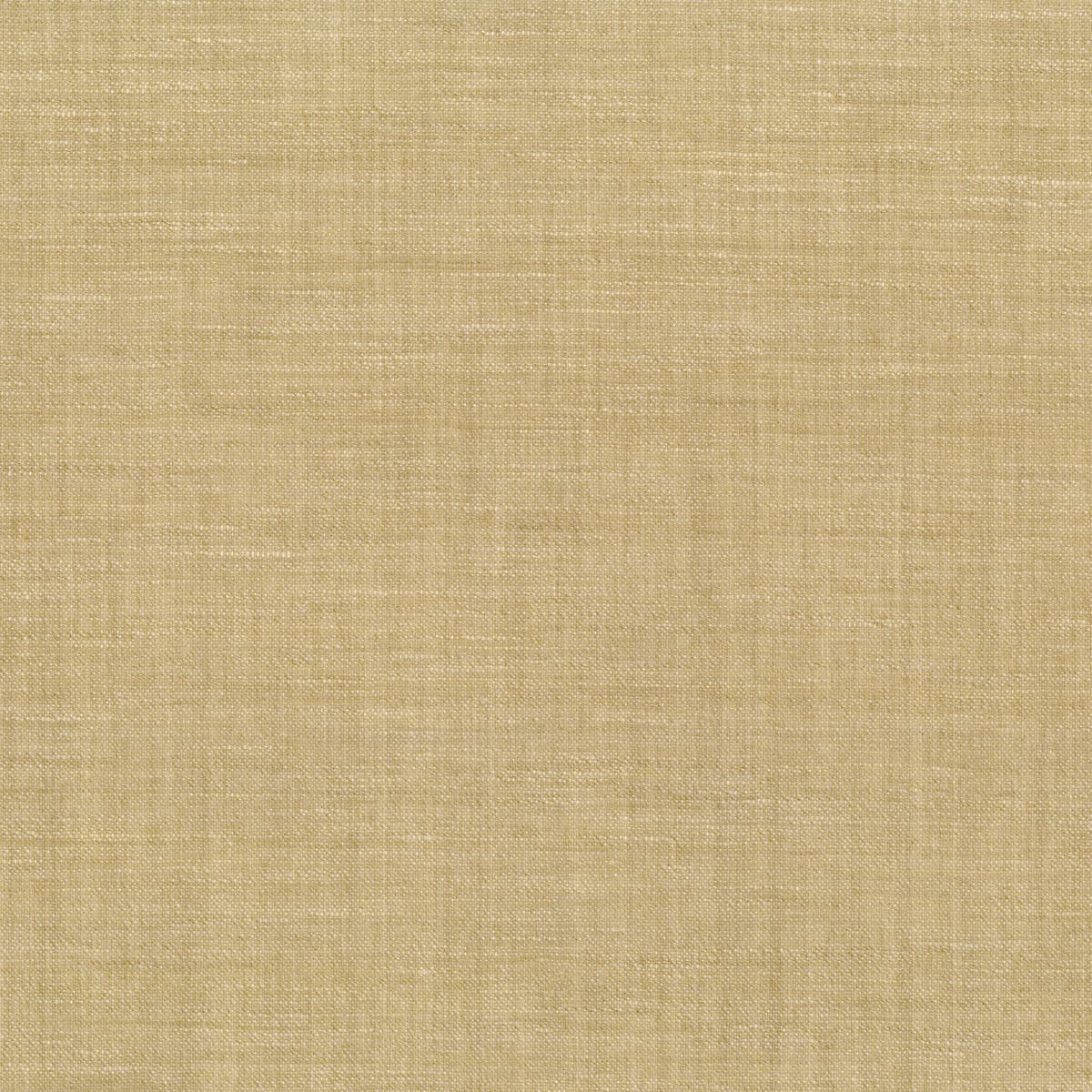Rubelli Borneo Wall wallcovering - Sabbia