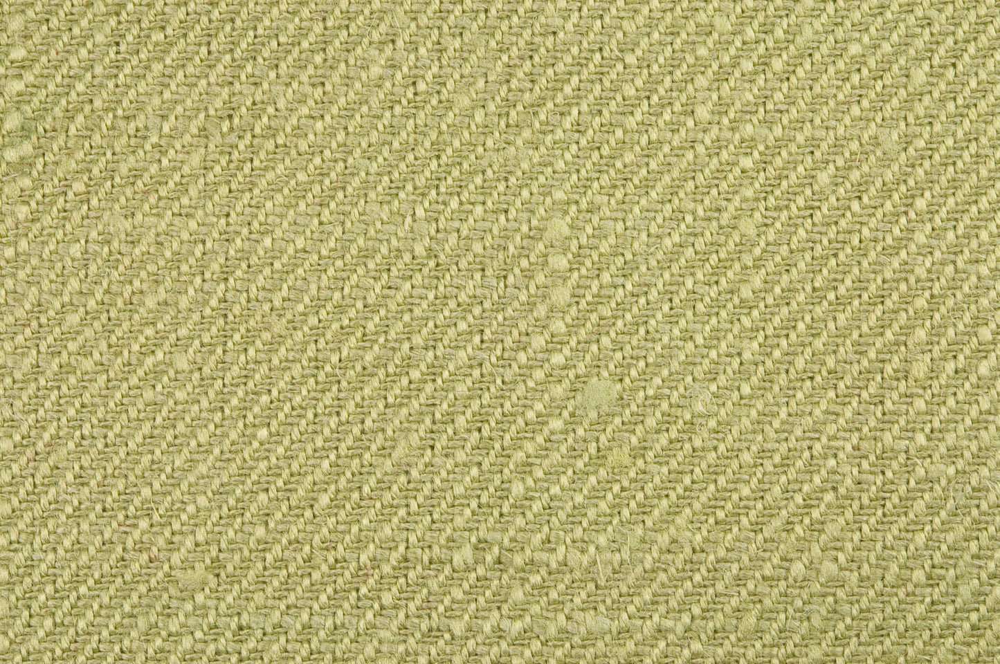 Pierre Frey Croisé Collobrières - Eucalyptus