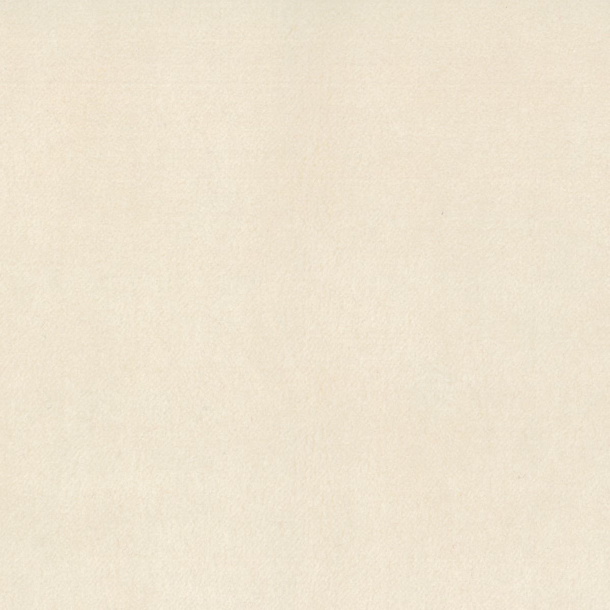 Rubelli Teddy fabric - Avorio