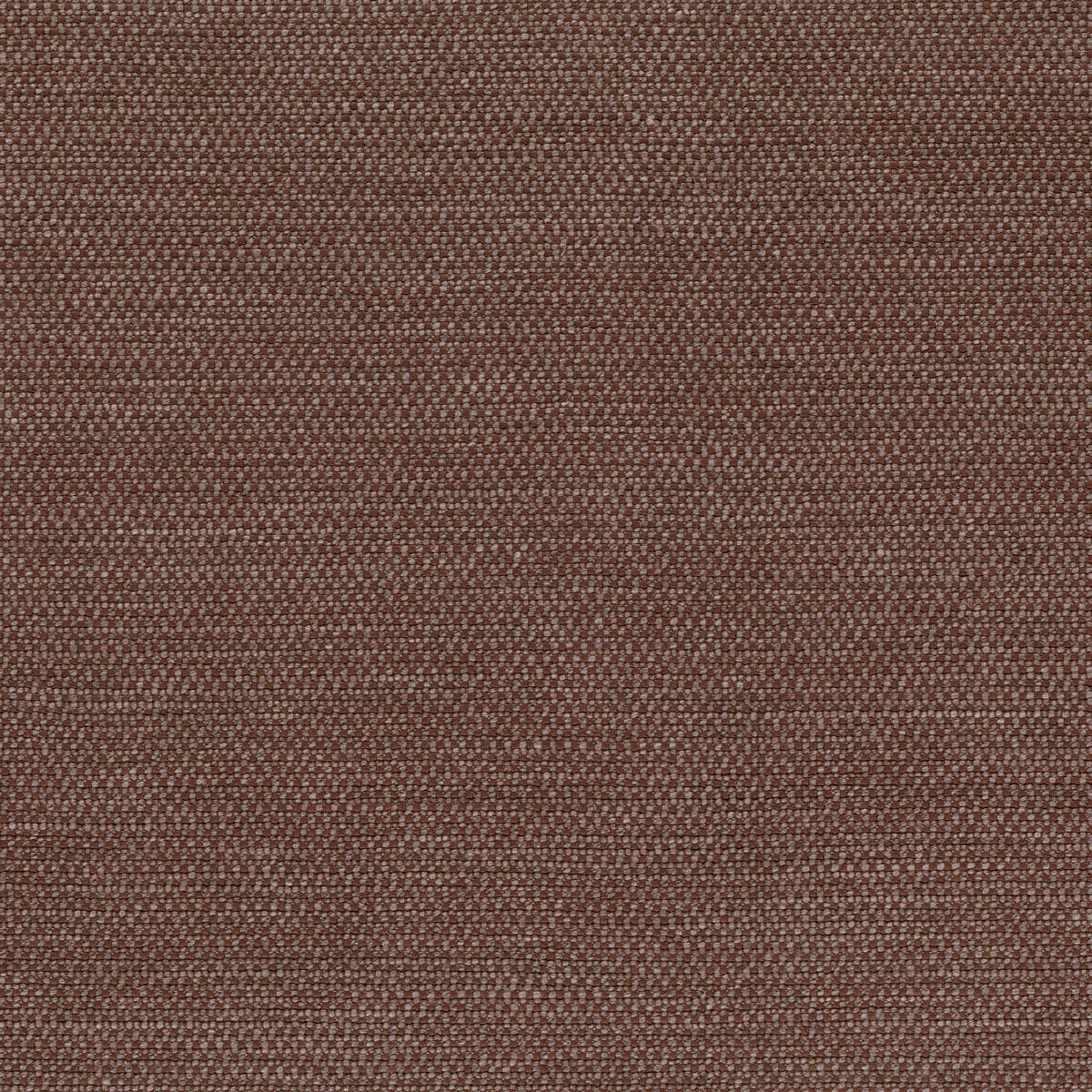 Rubelli Incipit fabric - Tabacco