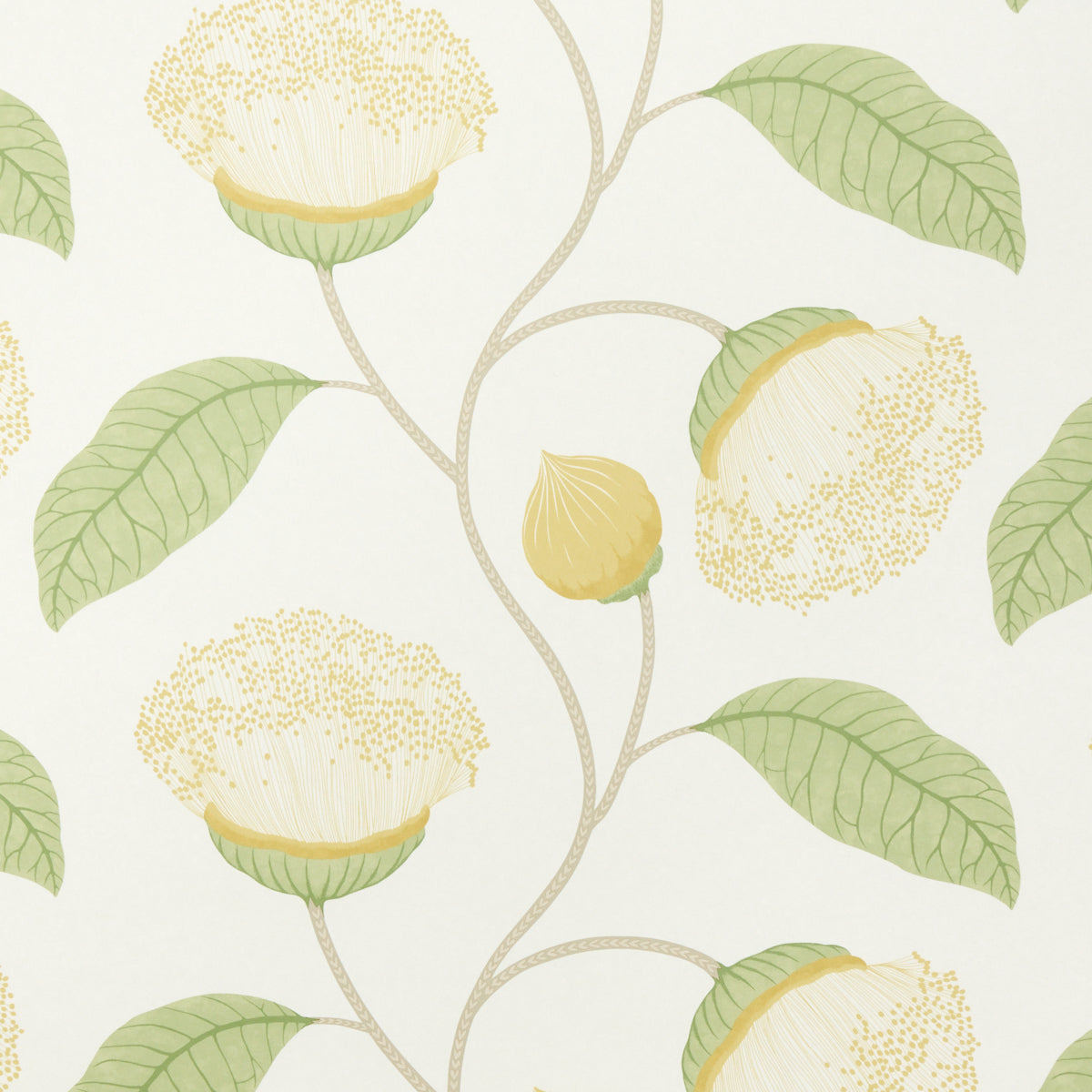 Schumacher | Celinda wallcovering - 5016362
