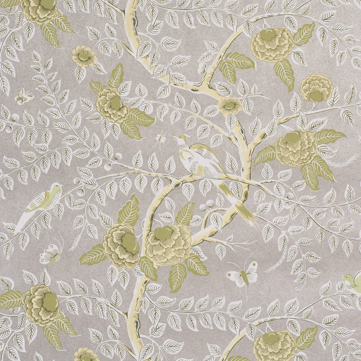 Schumacher | Tole Bird wallcovering - 5017542