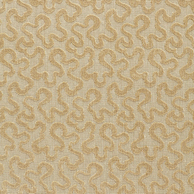 Schumacher | Vermicelli Velvet fabric - 64764