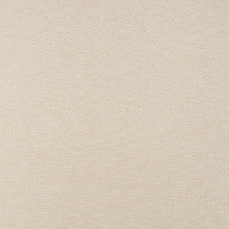 Schumacher | Anderson fabric - 71131