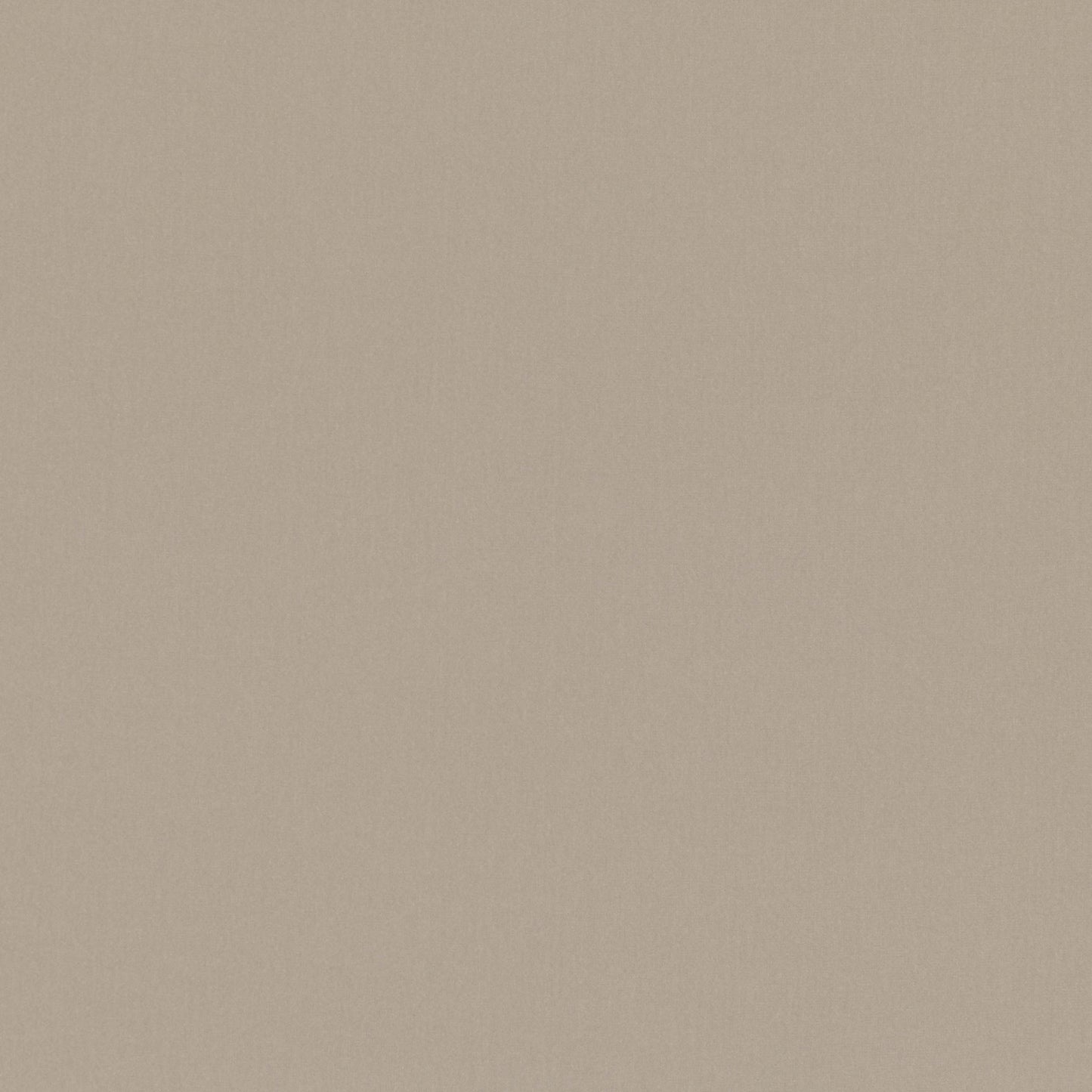 Romo | Forenza – Chamois