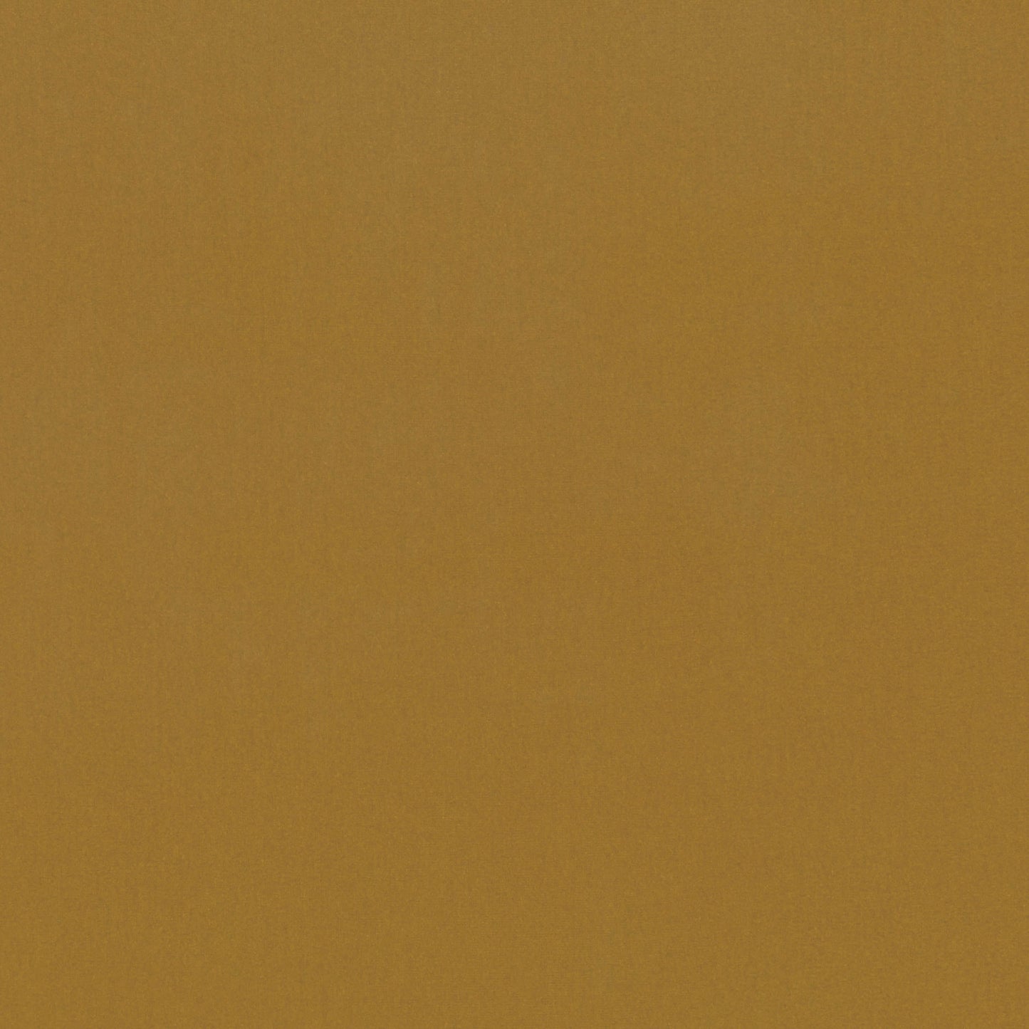 Romo | Forenza – Cumin