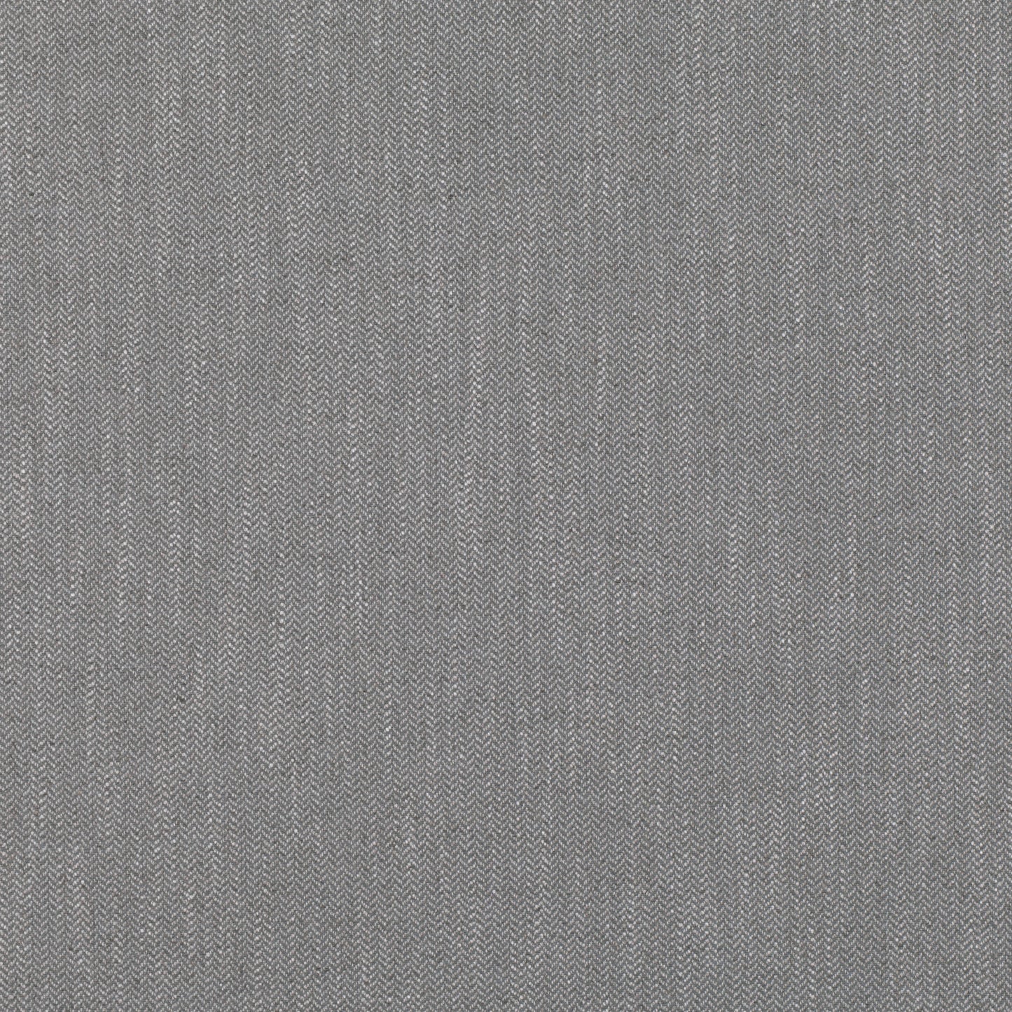 Romo | Layton – Pigeon