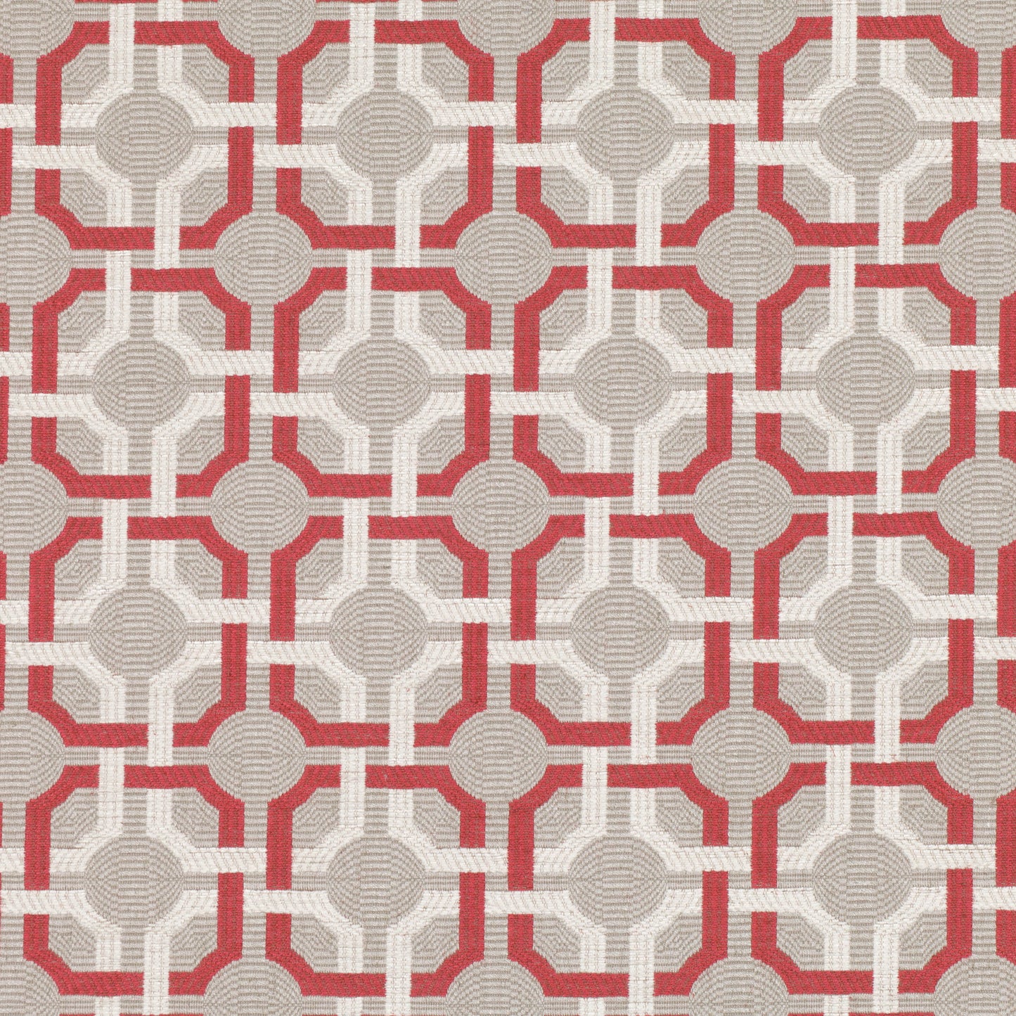 Romo | Orton – Red Tulip