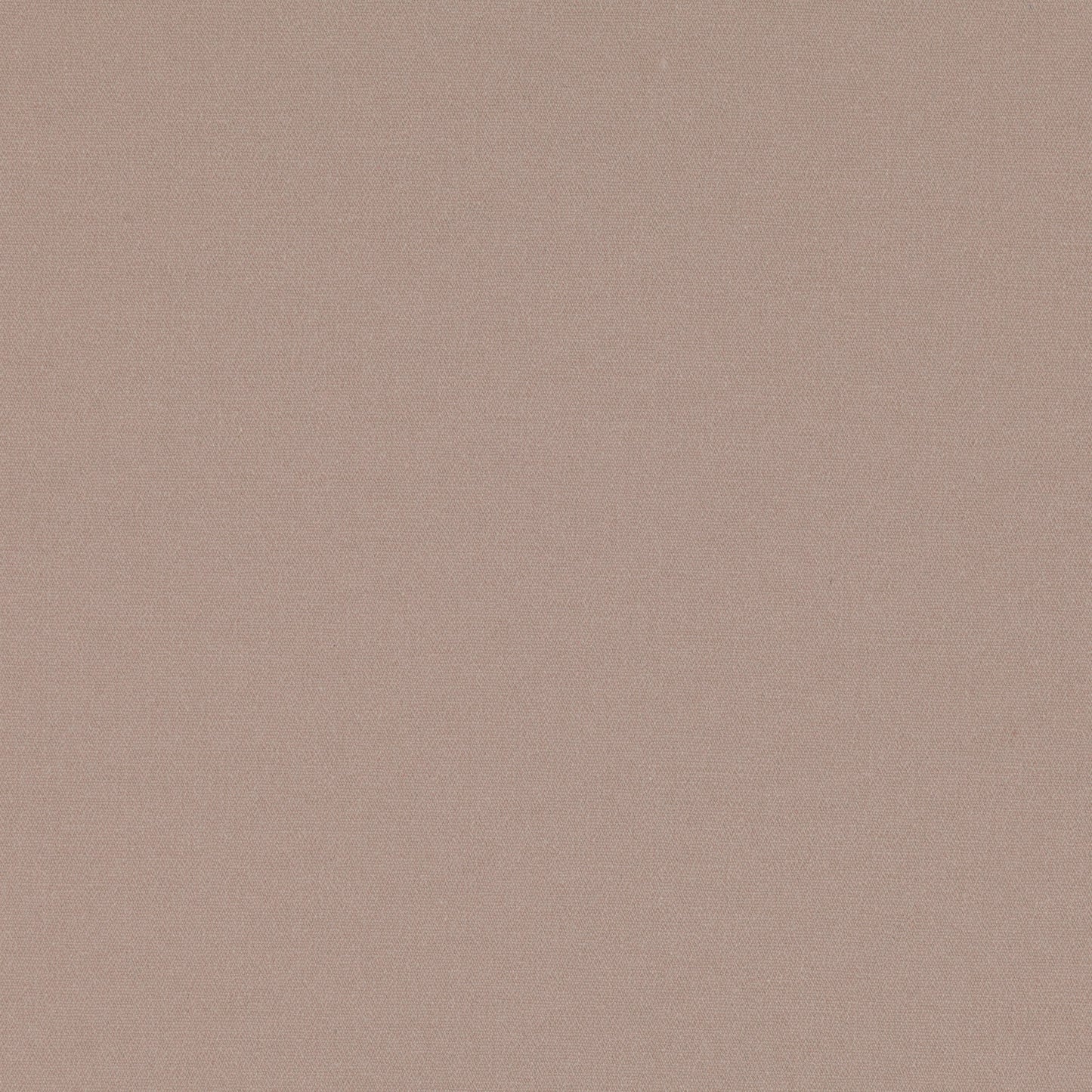 Romo | Osumi – Wild Rose
