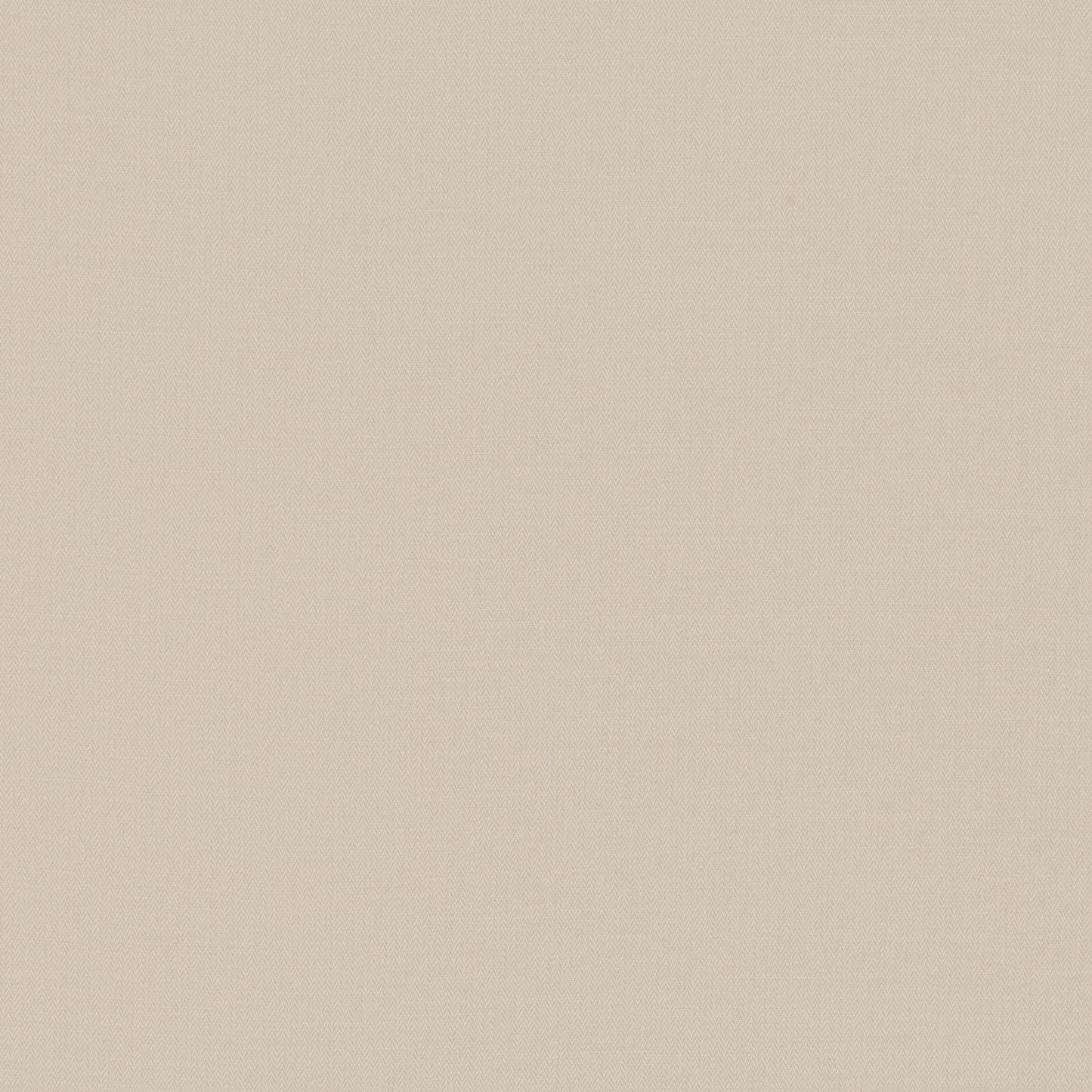 Romo | Miro – Shell