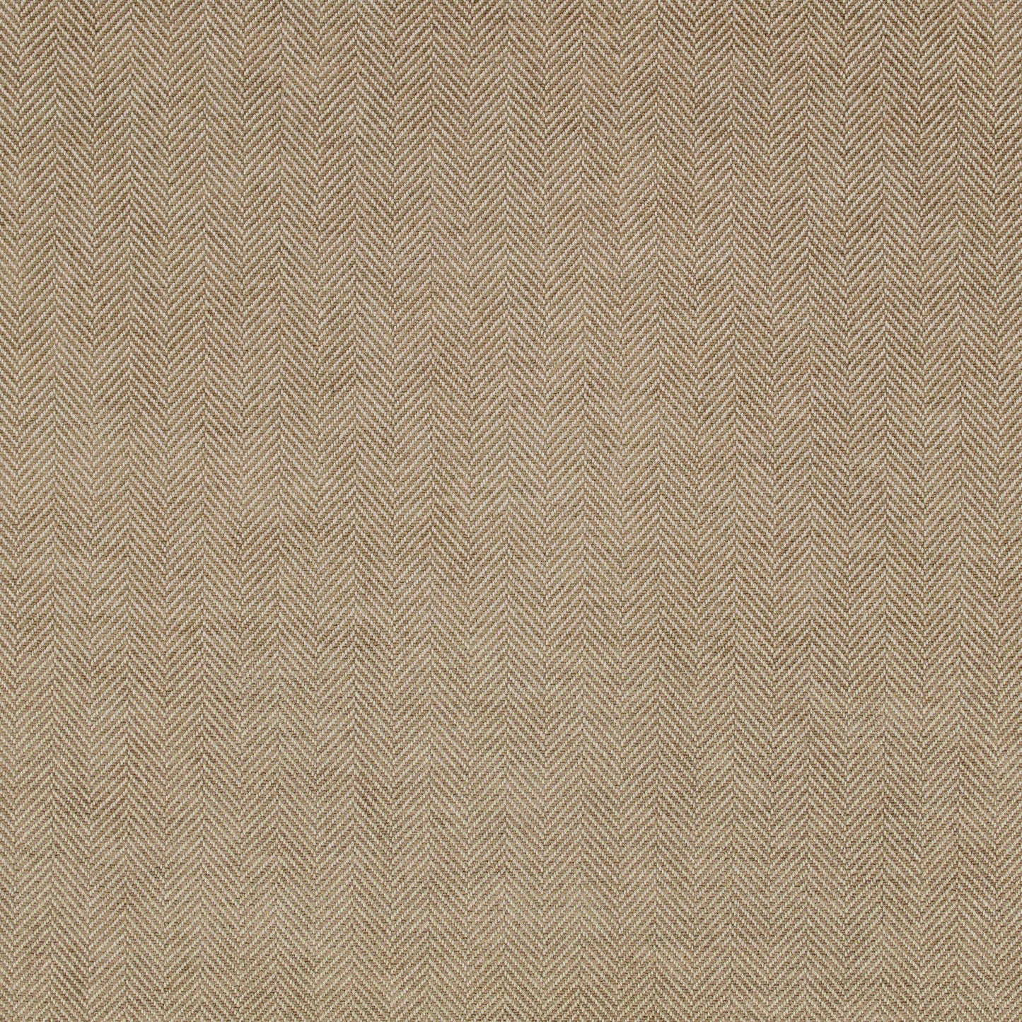Romo | Elcot – Putty