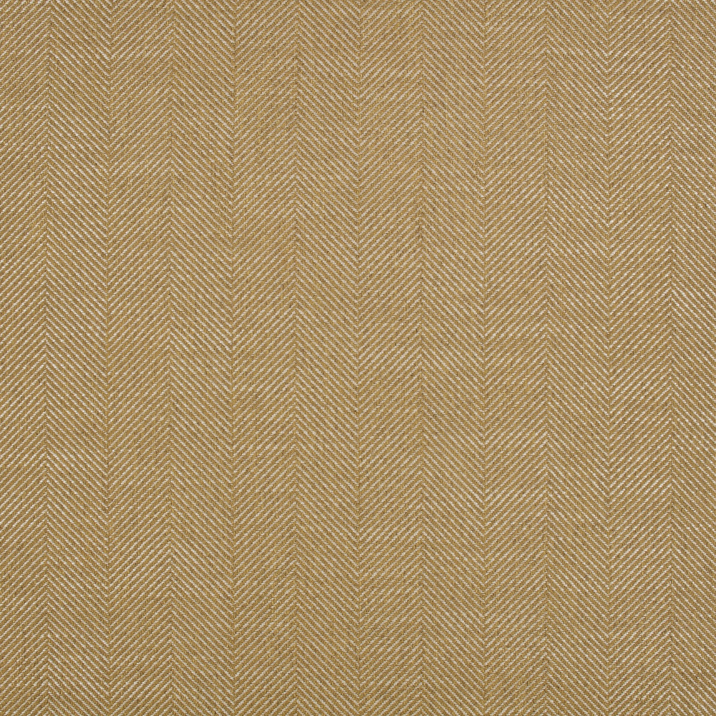 Romo | Hetton – Goldcrest