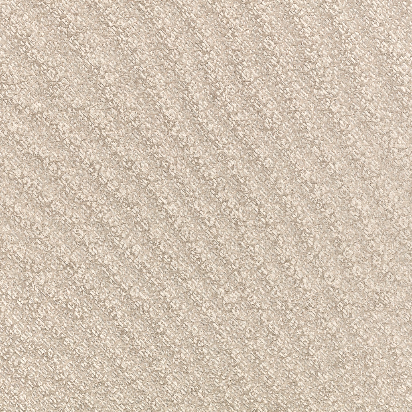 Romo | Kitty – Briosca