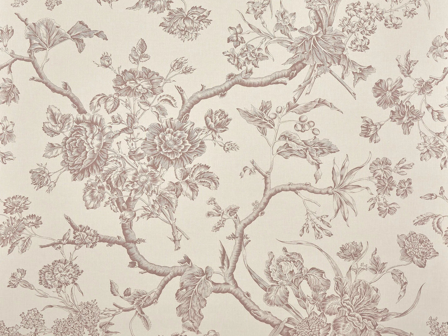 Pierre Frey Chantonnay - Glycine