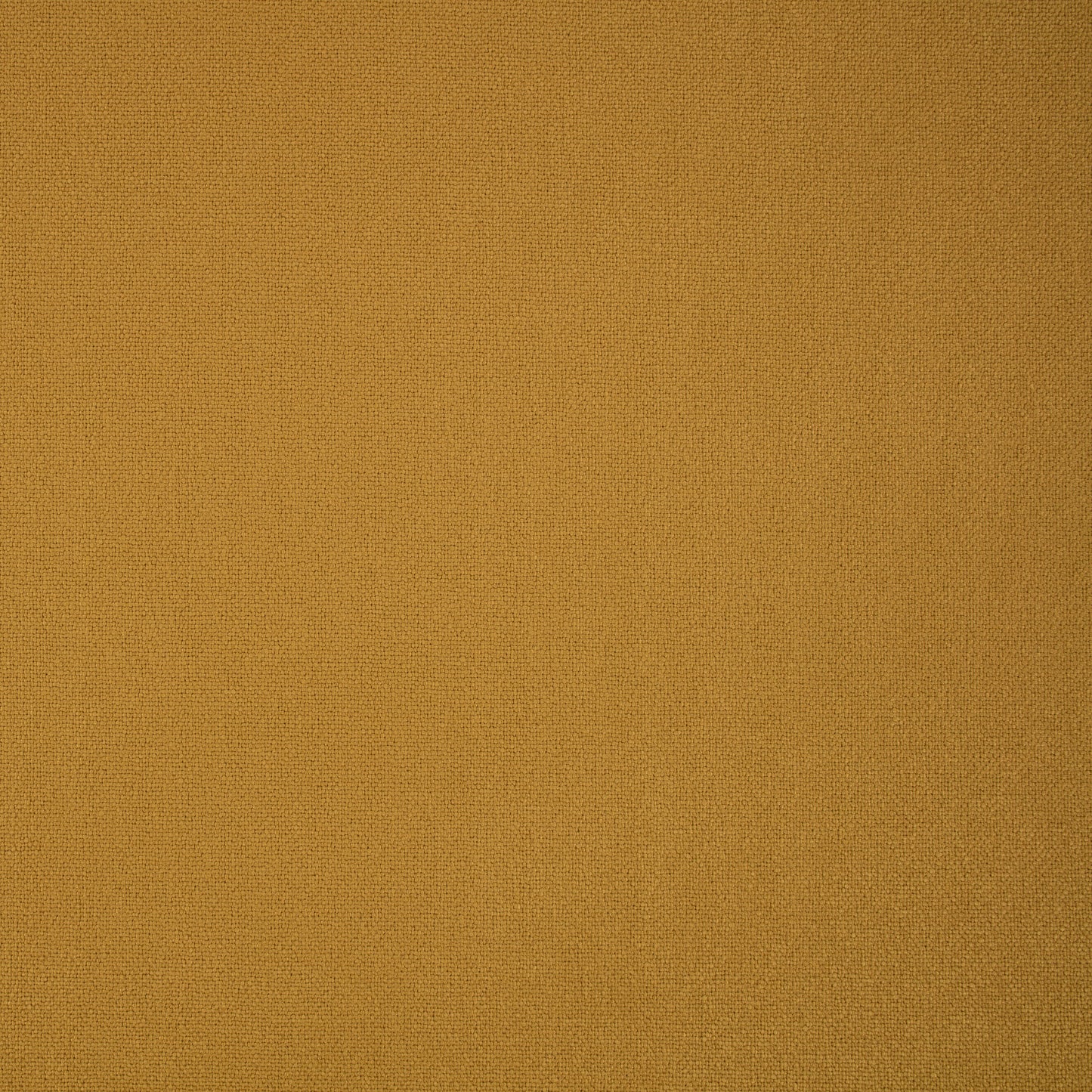 Romo | Elio – Goldcrest