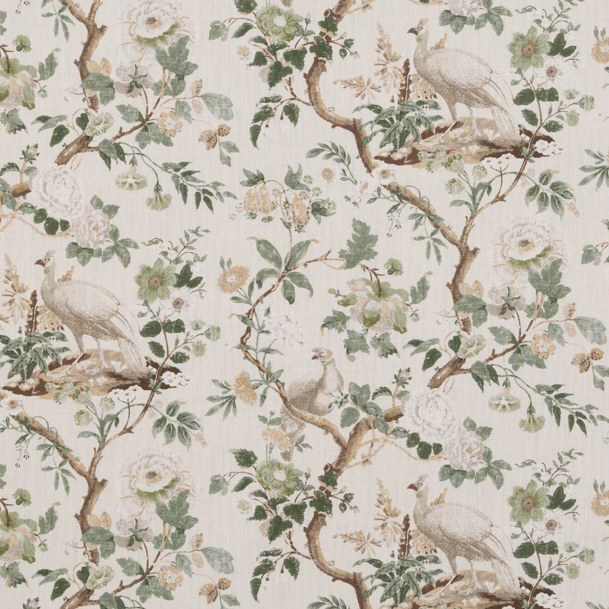 GP & J Baker | Broughton Rose fabric - Green