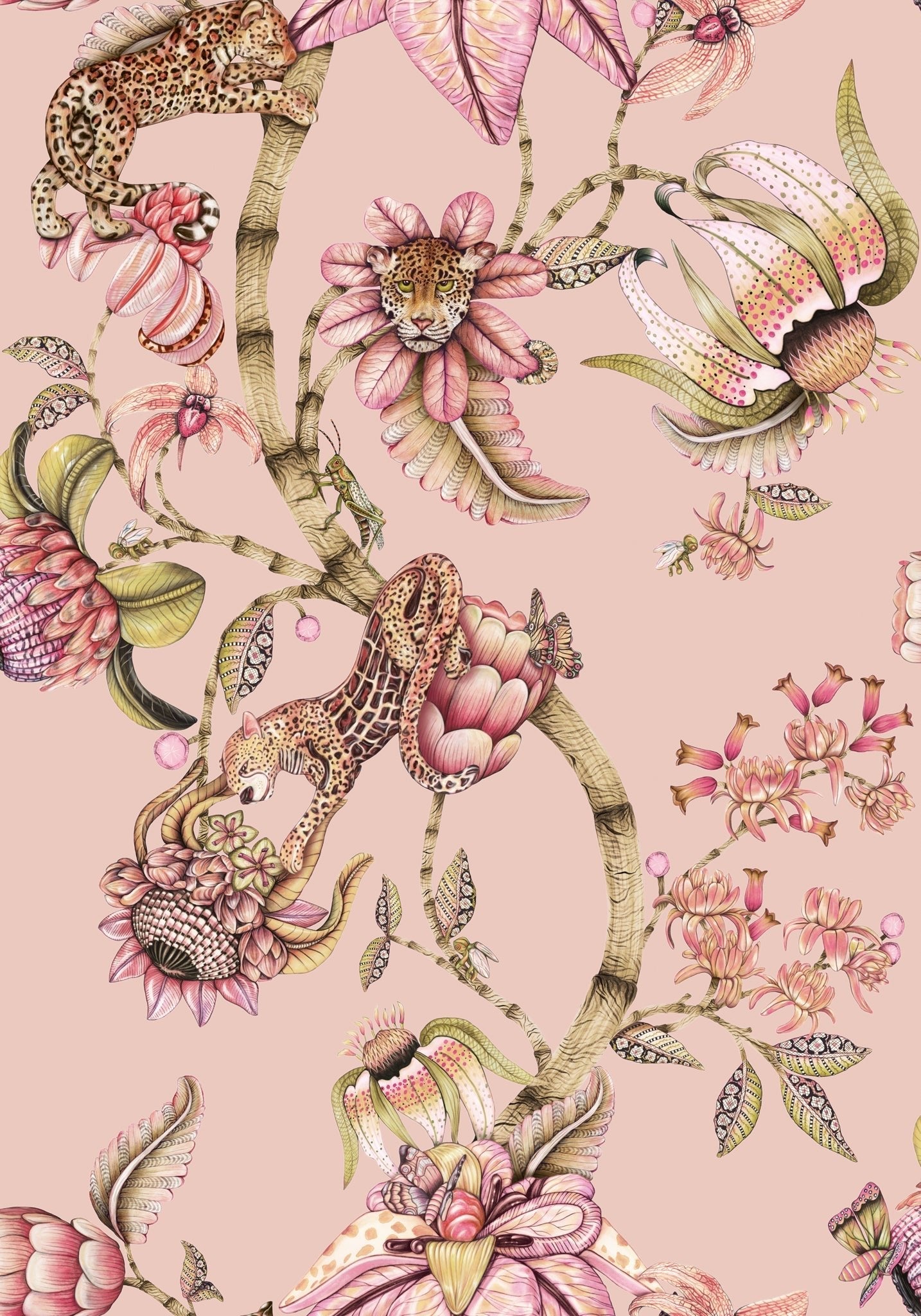 Cole & Son Protea Panthera - Rose Quartz