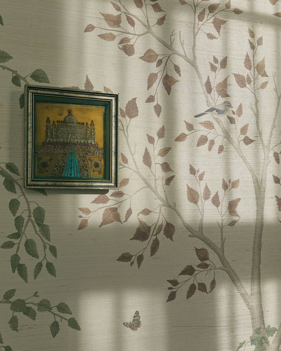 Cole & Son Seasonal Woods Grasscloth - interior