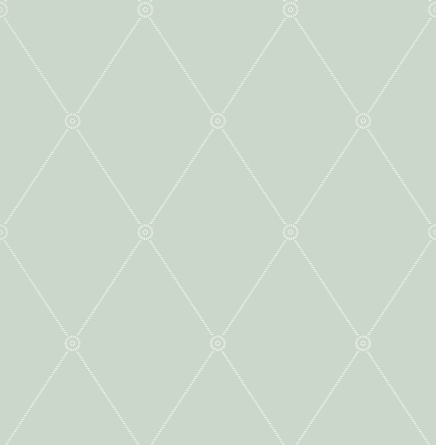 Cole & Son Large Georgian Rope Trellis - Duck Egg