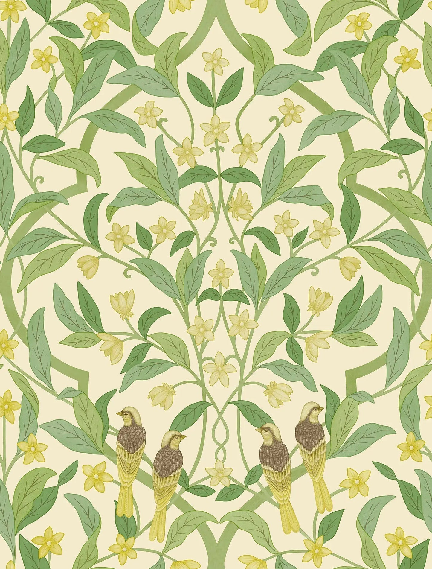 Cole & Son Jasmine & Serin Symphony - Chartreuse & Olive Green on White