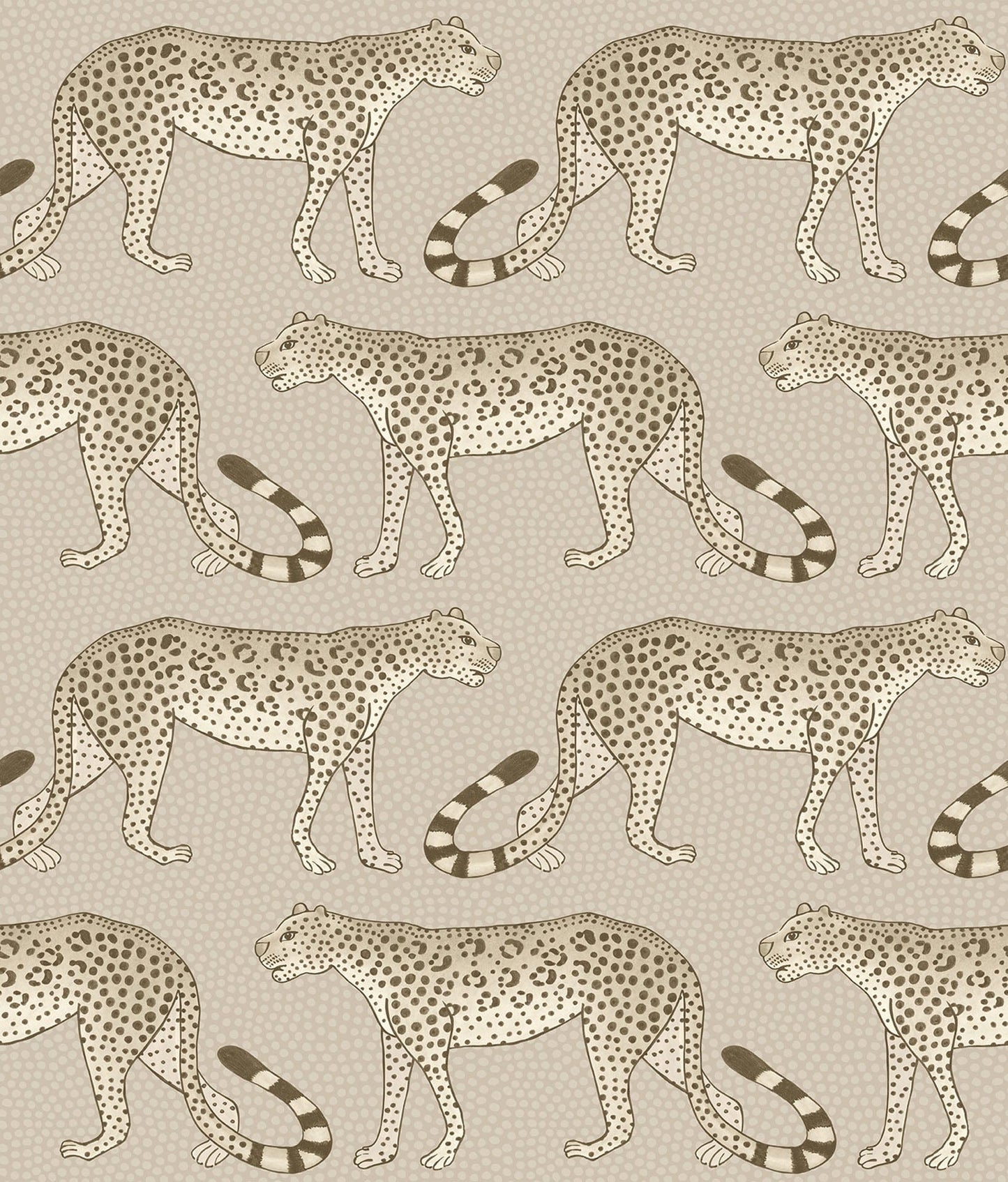 Cole & Son Leopard Walk - Safari on Taupe