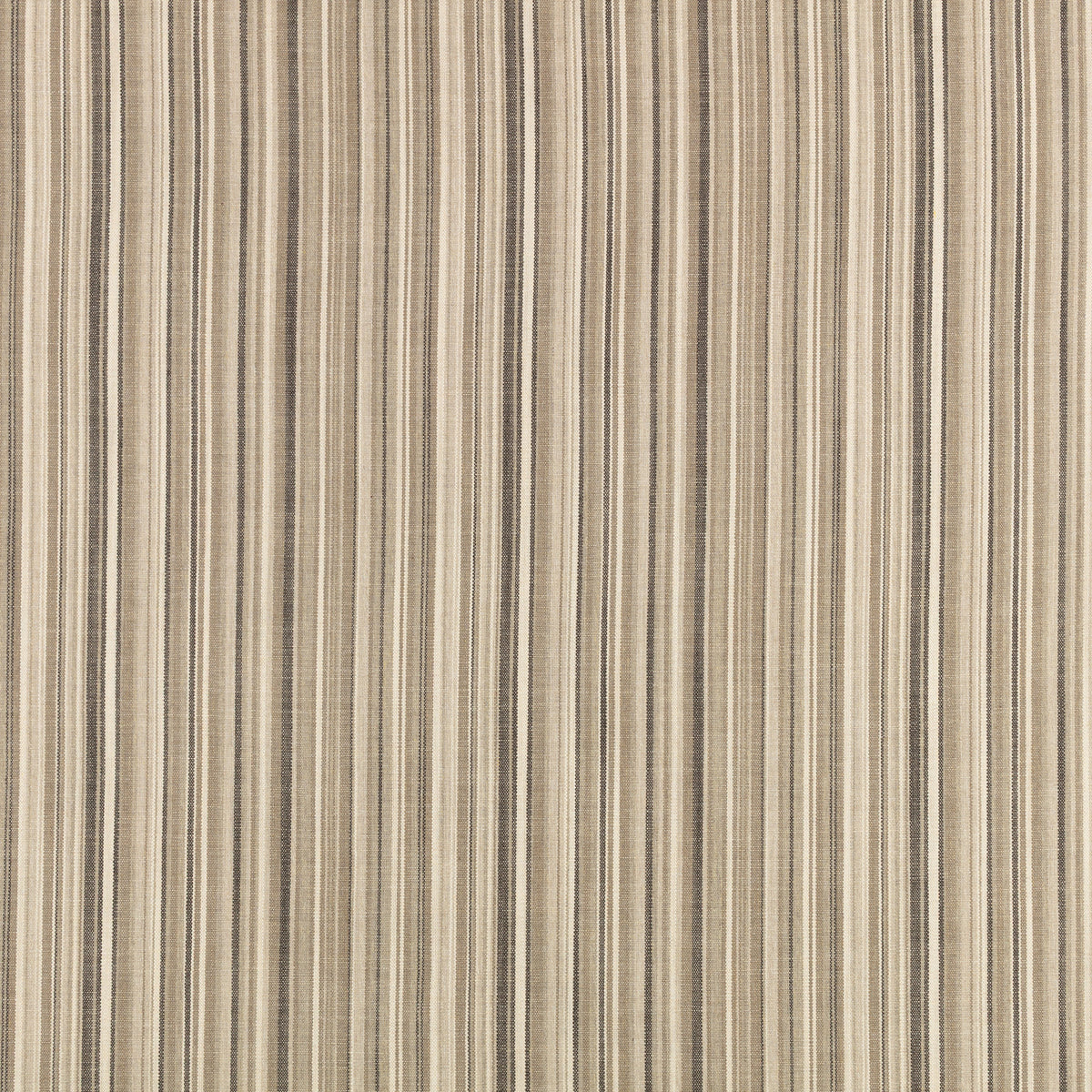 Mark Alexander Veranda Malabar Brush fabric