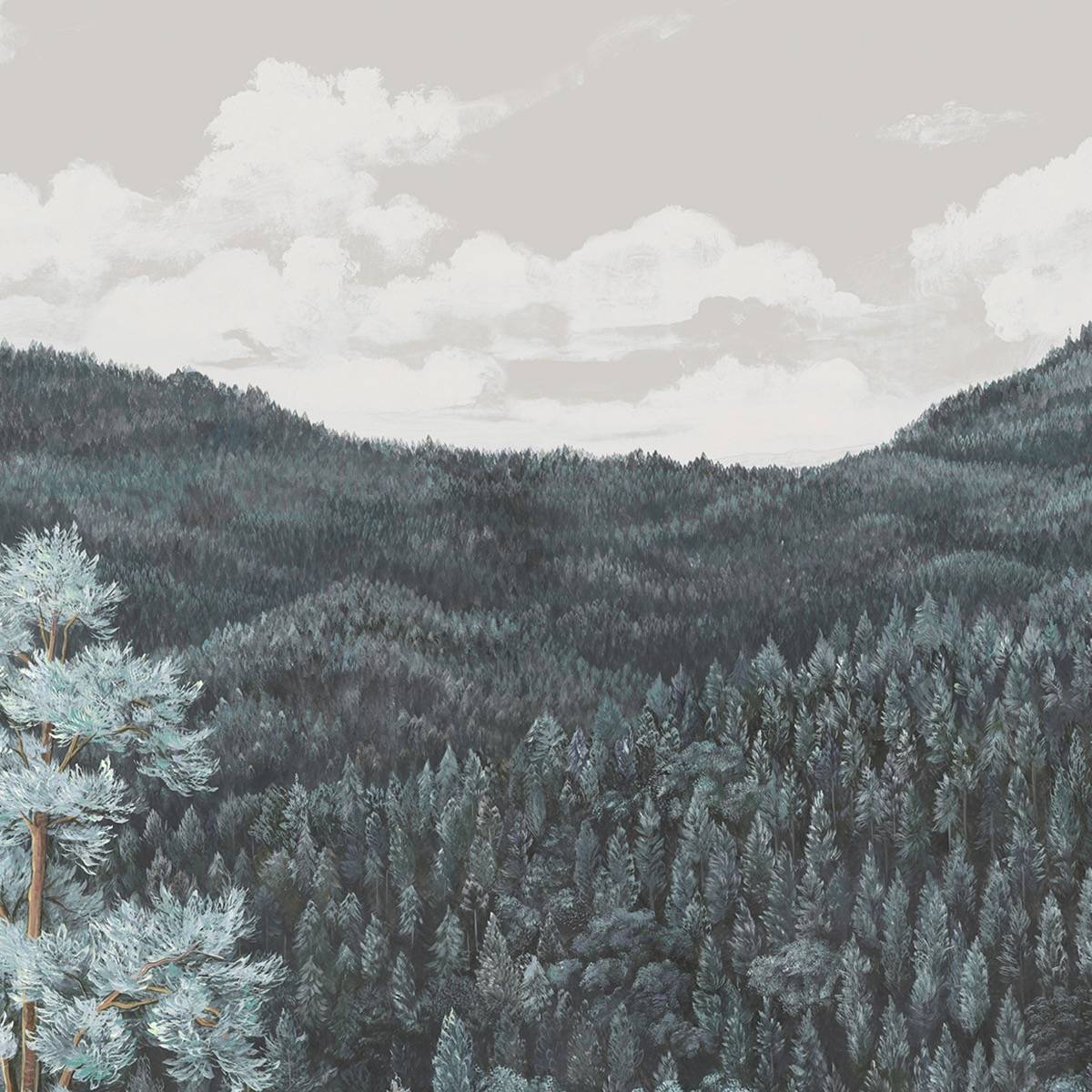 Canopy II - MHP21