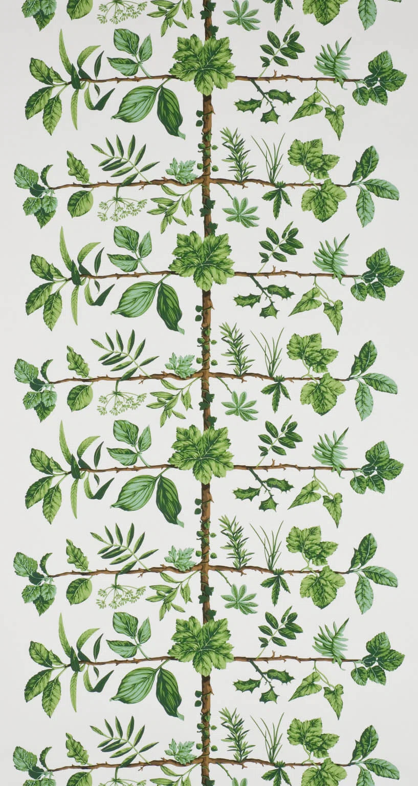 Pierre Frey Wallpaper Espalier - Prairie