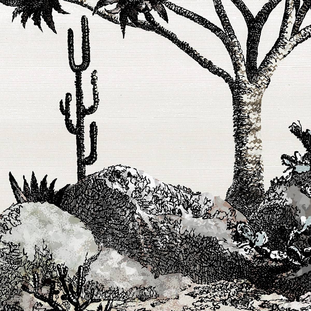 Yucca - PAN211