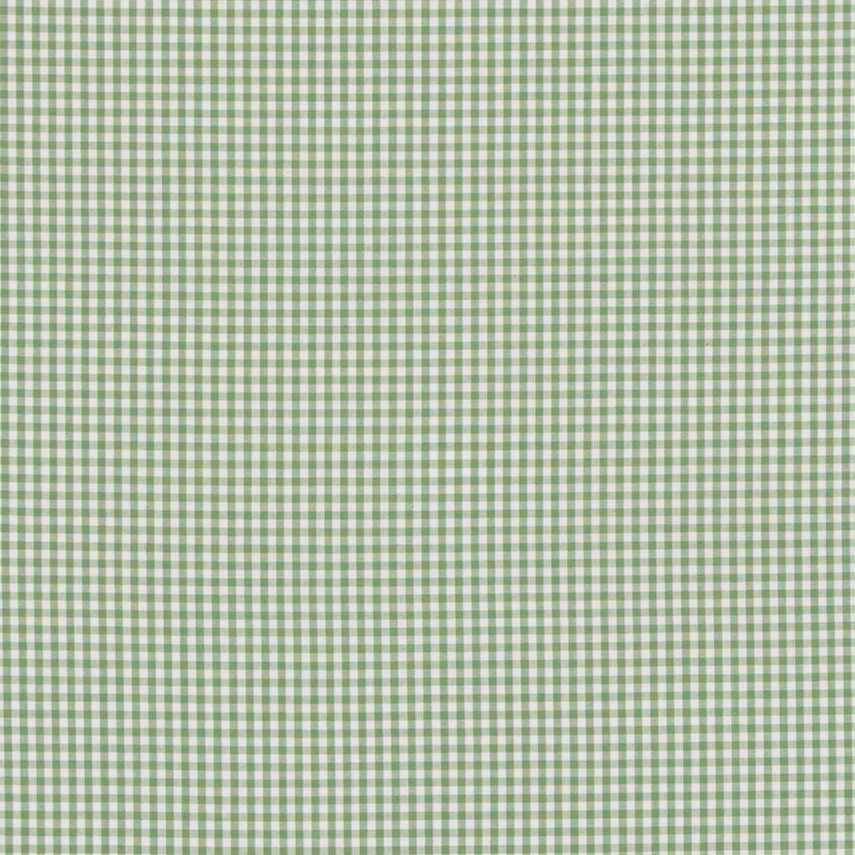 Baker Lifestyle | Sherborne Gingham fabric - Green