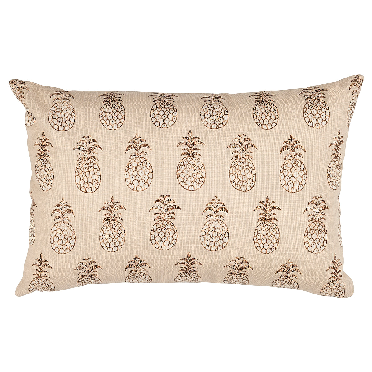 Schumacher | Piña Cove I/O Pillow fabric - SO18102213
