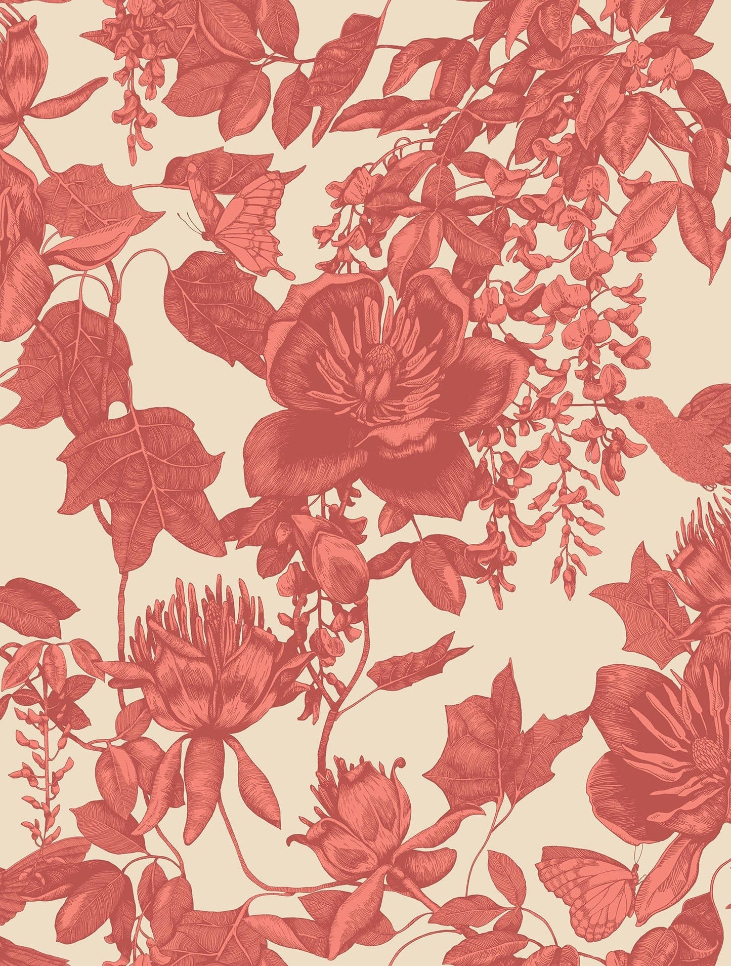 Cole & Son Tivoli - Red on Cream