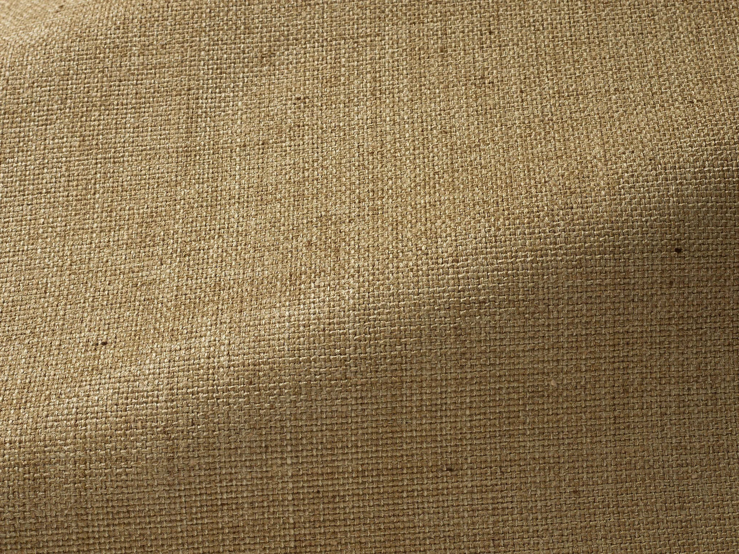 Pierre Frey Angkor - Chamois