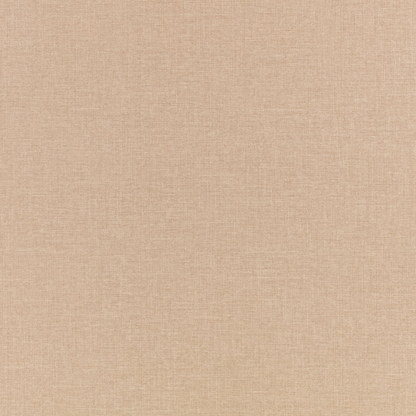 Pierre Frey Romo | Ciro Embossed Wallcovering – Wild Rose — scenography