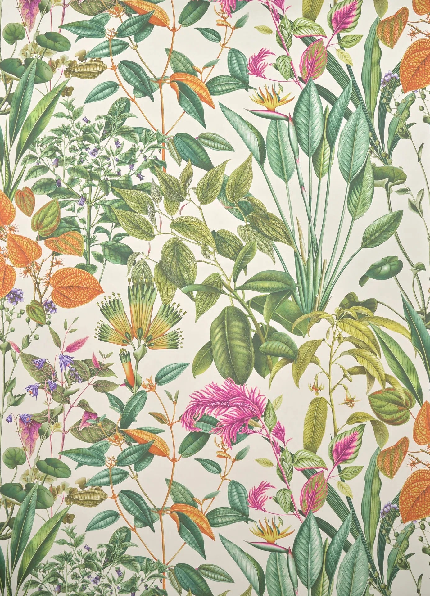 Pierre Frey Fantaisie Tropicale - Vegetal
