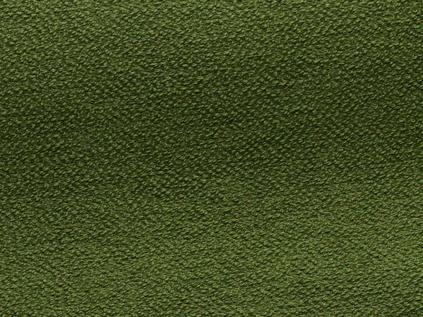 Pierre Frey Toile De Tours - Bouclette - Vert pré