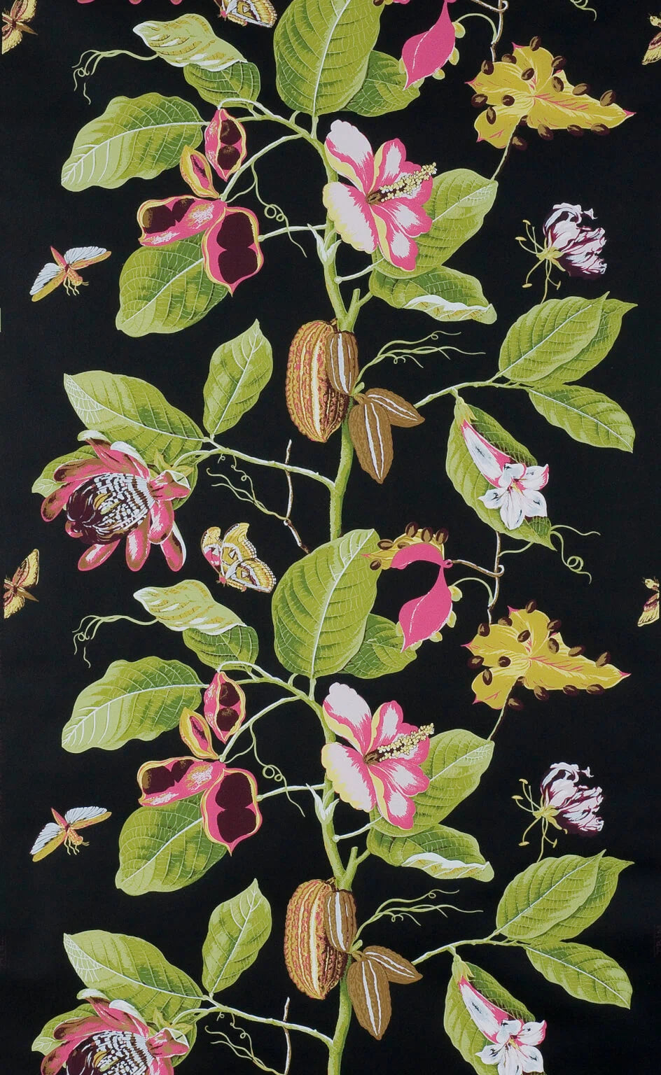 Pierre Frey Wallpaper Nakai - Black