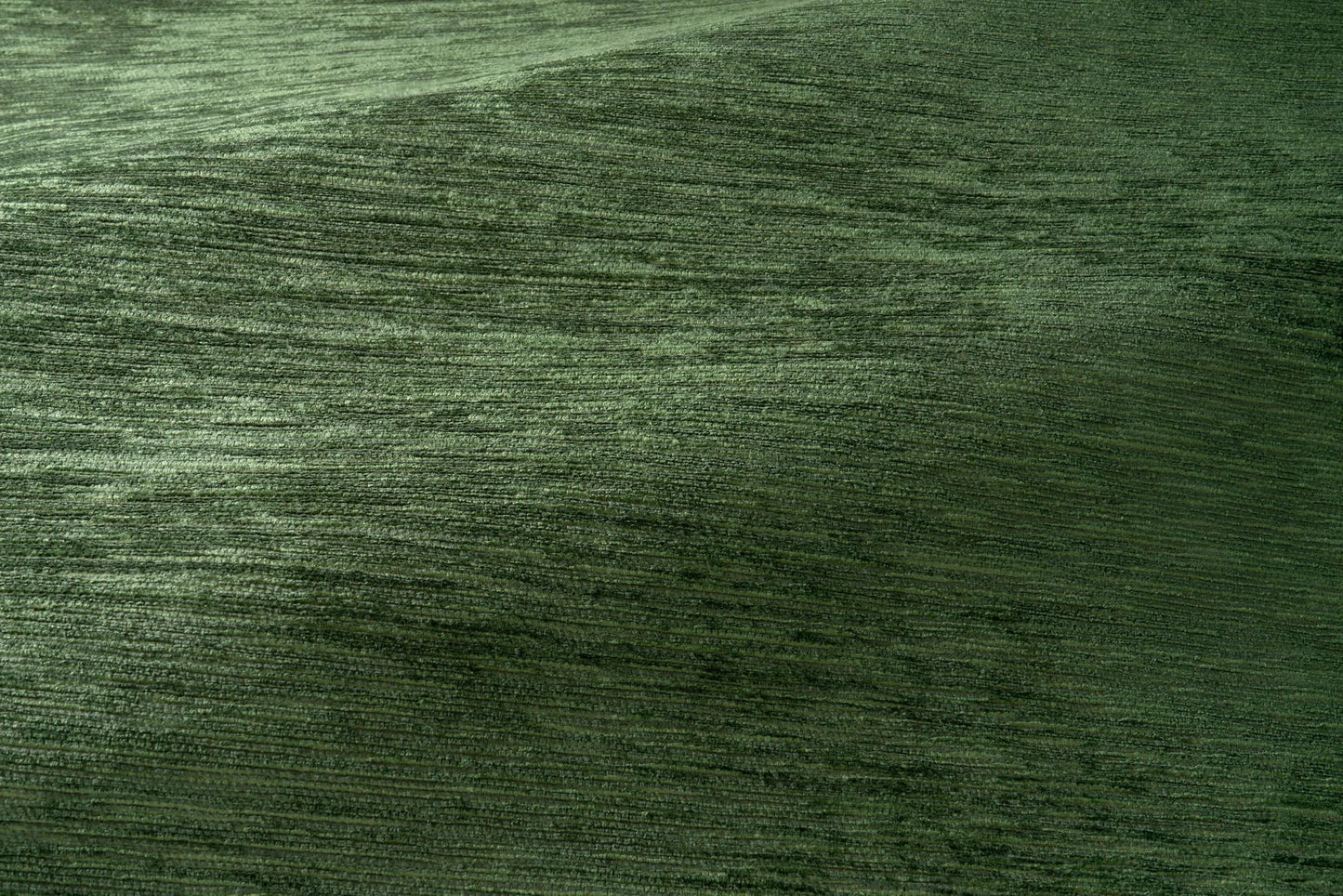 Pierre Frey Calvi - FORÊT