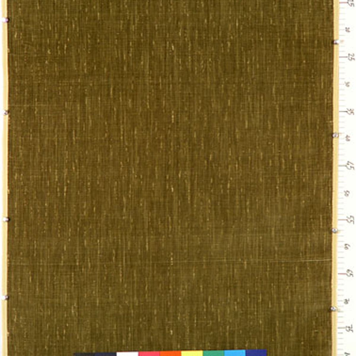 Rubelli Pisani fabric - Vert clair