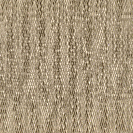 Volluto - 14